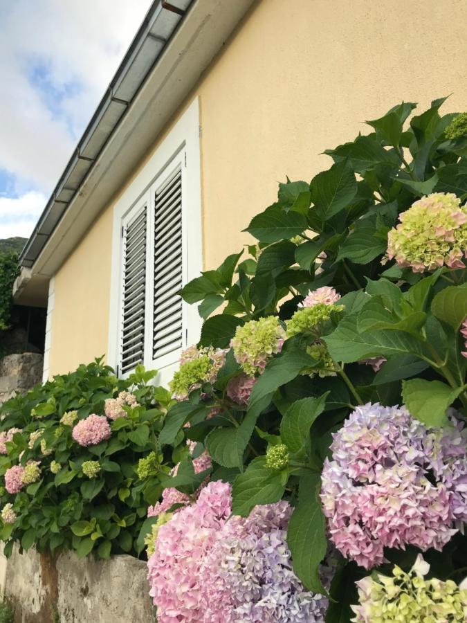 Etno Village Mihailovic Herceg Novi Exteriér fotografie