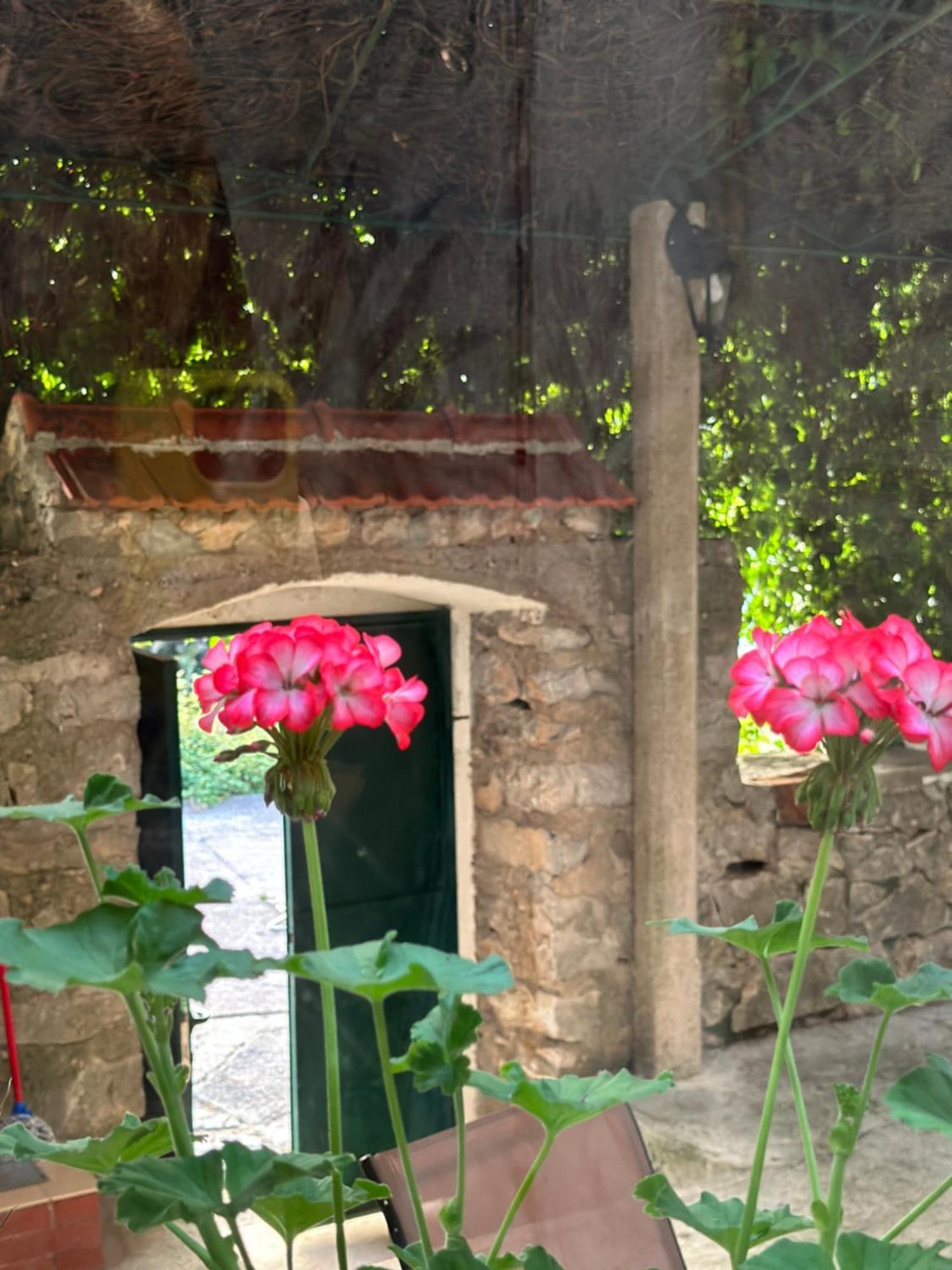 Etno Village Mihailovic Herceg Novi Exteriér fotografie